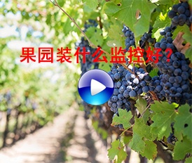 果園裝什么監(jiān)控好？