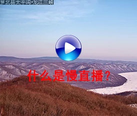 什么是慢直播？