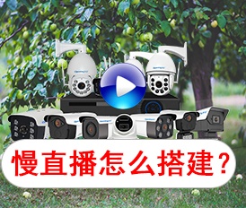 怎么搭建慢直播？