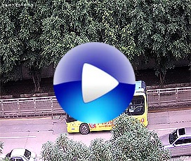 開寧500萬溫濕度慢直播攝像機(jī)實(shí)時(shí)視頻效果！