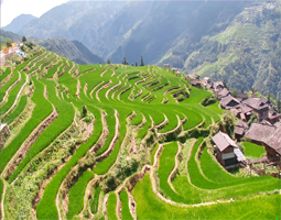 貴州加榜梯田：融合傳統(tǒng)與現(xiàn)代，安裝開寧慢直播設備進行直播