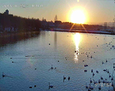 開寧4K全彩高清慢直播球機(jī)鏡頭下的四季戀歌