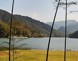 杭州富春方外酒店使用慢直播攝像機進行慢直播