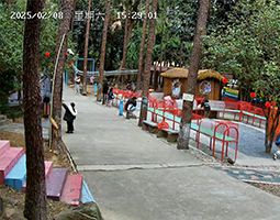 清遠(yuǎn)清新花園酒店用開(kāi)寧4G慢直播攝像機(jī)直播松林美景