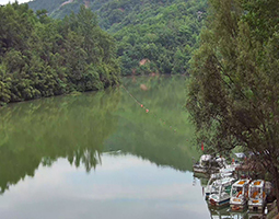 西安鯨魚(yú)溝竹海風(fēng)景區(qū)使用開(kāi)寧慢直播攝像機(jī)進(jìn)行直播