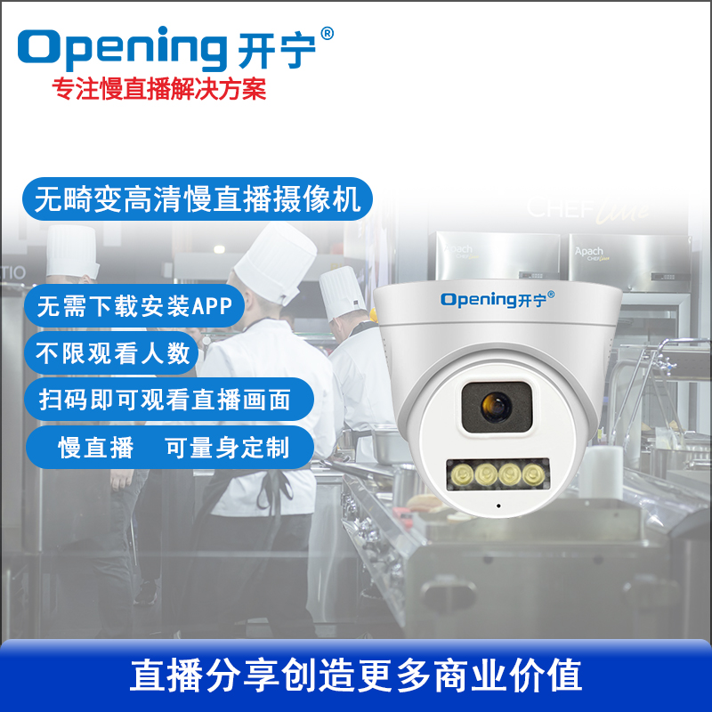 無畸變慢直播半球攝像機(jī)